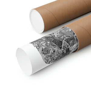 MIKASA BLACK & WHITE POSTER MIKASA BLACK & WHITE POSTER