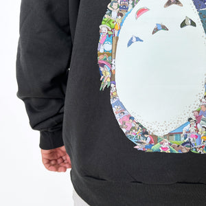 TOTORO COLOR HOODIE (Ship from Viet Nam) TOTORO COLOR HOODIE (Ship from Viet Nam)