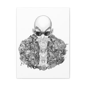 MASTER ROSHI BLACK & WHITE CANVAS MASTER ROSHI BLACK & WHITE CANVAS