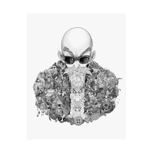 MASTER ROSHI BLACK & WHITE POSTER MASTER ROSHI BLACK & WHITE POSTER