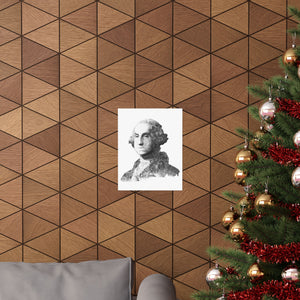 GEORGE WASHINGTON BLACK & WHITE POSTER GEORGE WASHINGTON BLACK & WHITE POSTER