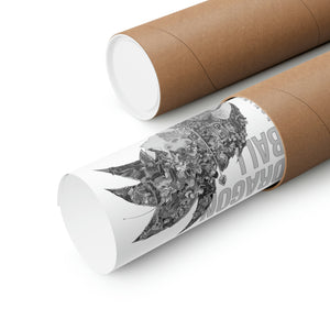 GOKU VEGETA BLACK & WHITE POSTER GOKU VEGETA BLACK & WHITE POSTER