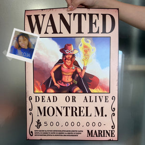 TURN ME PIRATE TURN ME PIRATE