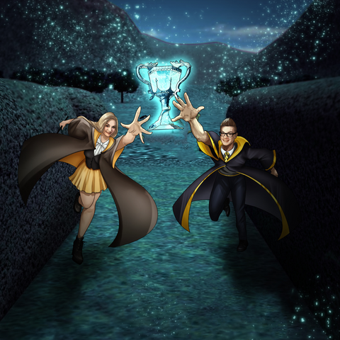 THE FINAL MAGIC CONTEST - HARRY POTTER CUSTOM DRAWING , Harry Potter, Harry Potter Custom Drawing, Harry Potter Customized Portrait, product:turn-me-wizard