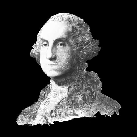 GEORGE WASHINGTON GEORGE WASHINGTON Turned Ninja