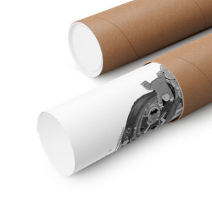 MASTER ROSHI BLACK & WHITE POSTER MASTER ROSHI BLACK & WHITE POSTER