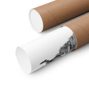 AKIRA TORIYAMA BLACK & WHITE POSTER AKIRA TORIYAMA BLACK & WHITE POSTER