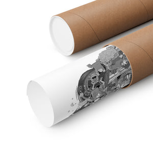 MASTER ROSHI BLACK & WHITE POSTER MASTER ROSHI BLACK & WHITE POSTER