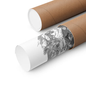 JADE BLACK & WHITE POSTER JADE BLACK & WHITE POSTER