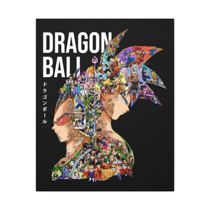 GOKU VEGETA COLOR CANVAS GOKU VEGETA COLOR CANVAS